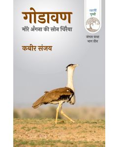 Godavan : More Angana Ki Son Chiraiya