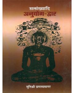 Satsankhyadi Anuyog Dwar