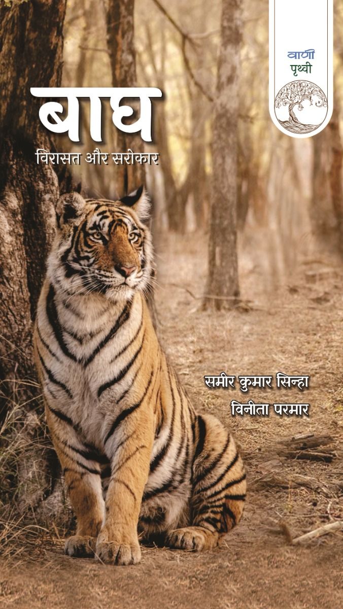 Bagh : Virasat Aur Sarokar