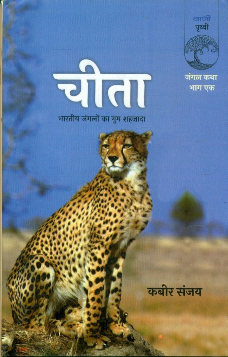 Cheeta
