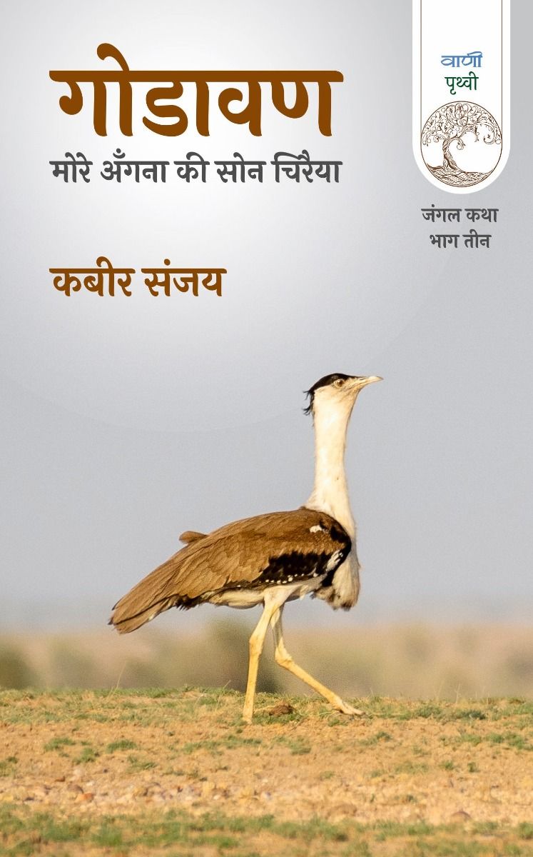 Godavan : More Angana Ki Son Chiraiya